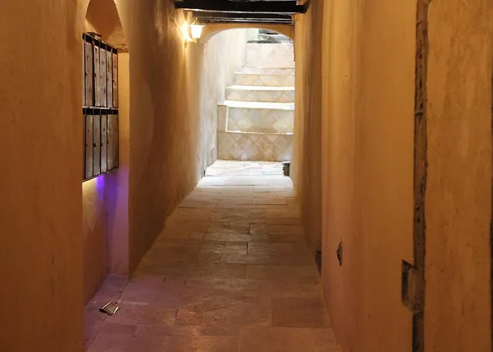 Hôtel accueillant les animaux: La Loge Du Vieux Lyon